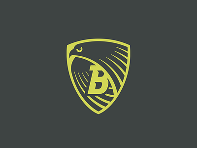 Yo, it's a hawk shield B! emblem golden ratio hawk illustration logo logomark minimal shield