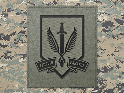 Warrior Patch badge military patch