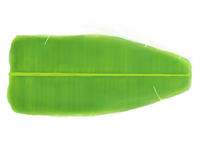 Banana leaf