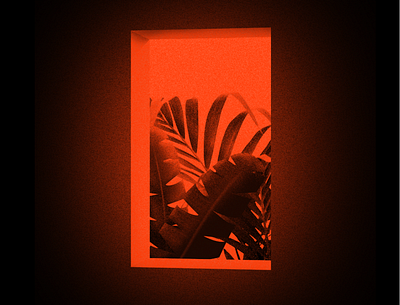 123-1 black dark design experiment geometry illustration palmtree red window