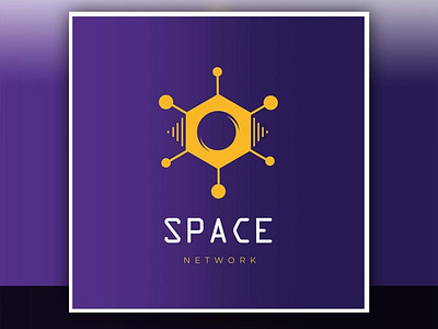 Space network logo