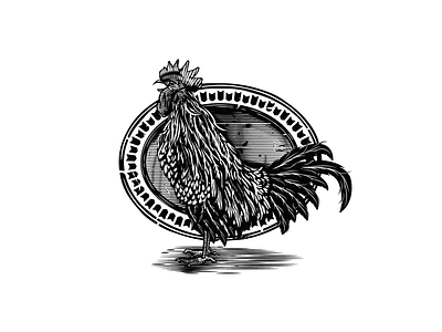 Gallo Dorado crests digital illustration engrving gallo illustration illustrator rooster vector