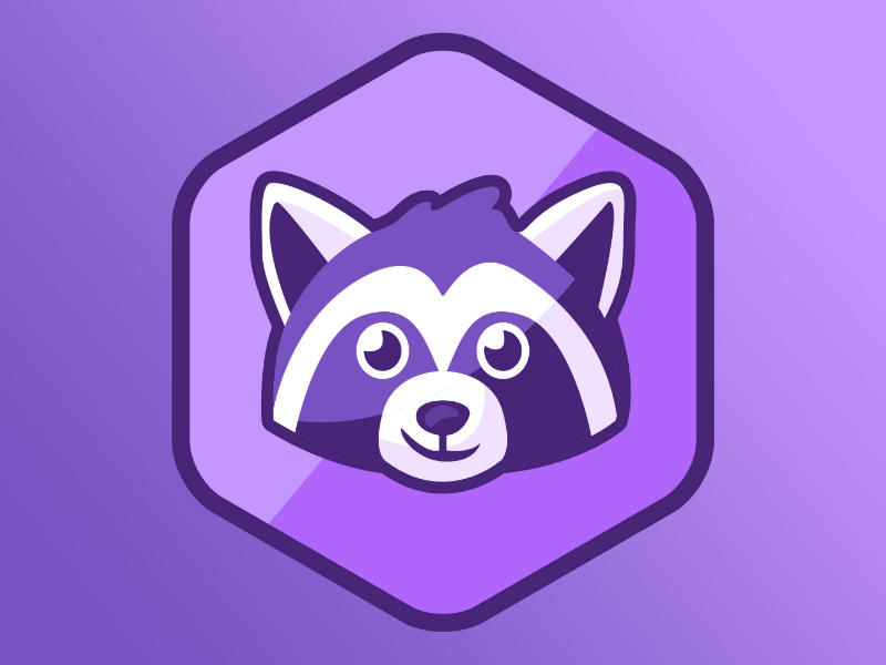 Raccoon by sohinggu on Dribbble