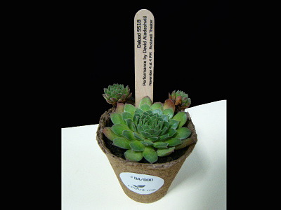 Dalood SS18 design handmade invitation performance plant succulent