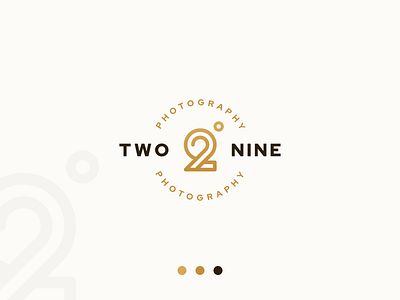 Two Nine Photography design logo vector work
