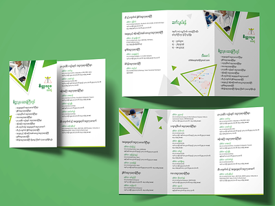 Legal Tri-fold Brochure branding design green illustration vector work
