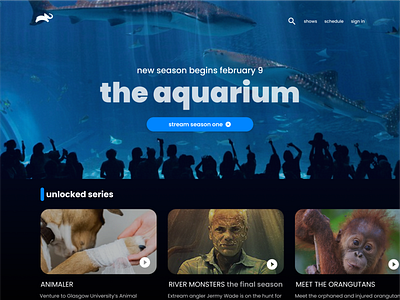 Animal Planet website concept