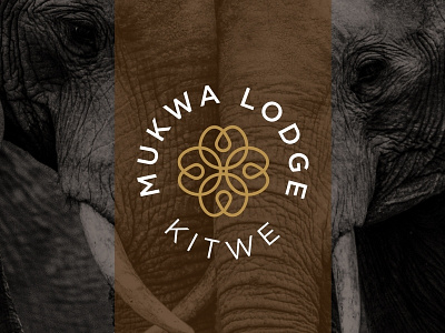 Mukwa Lodge, Kitwe - Logo Design african brand african brands african logo agent orange design branding brown hospitality lodge logo logo designers minimalist logo mukwa lodge mukwa seed seed logo seeds