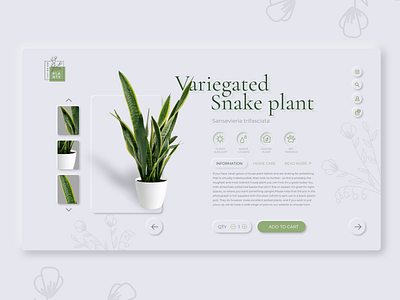 Online potted plant shop design ecommerce plants uidesign uiux