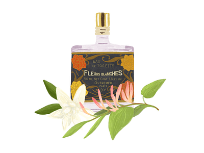 Fragrance Illustration design digital illustration graphic design illustration product illustration