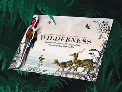 Wilderness Festival - Gatefold Die cut Mailer