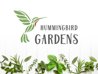 Hummingbird Gardens Logo basil garden hummingbird local logo design organic