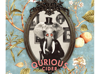 Qurious Cider Concept beer cider craft elephant perry qurious ramones glasses victorian wes anderson