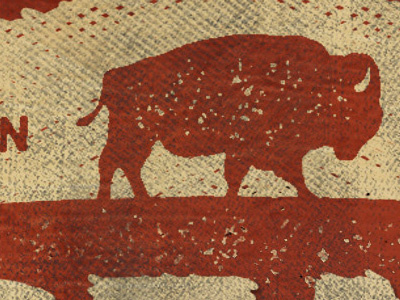 Buffalo detail americana branding buffalo illustration logo park photoshop t shirt tee texture west