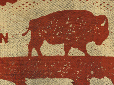 Buffalo detail