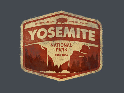 Yosemite vintage apparel authentic goods park outdoors logo branding badge patch