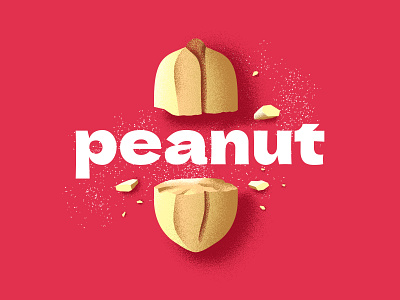 peanut design graphic design illustration