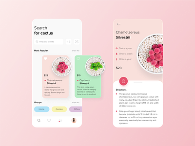 Mobile App Store for Cactus Lovers app concept app design cactus store creative mobile design mobile store ui ux