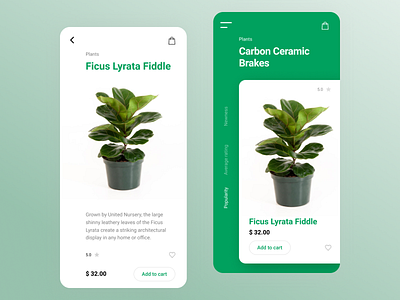 Ficus app 1