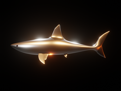 Silver Shark 3D 3d animals animation graphic design ocean life shark
