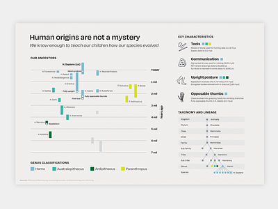 Data Viz – Homo sapien ancestry data data viz diagram genetics graph graphic design illustrator info viz infographic information visualization procreate science timeline