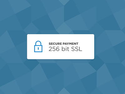 First shot bit debut payment rebound secure ssl