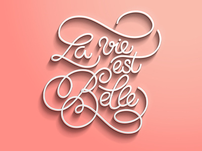la vie est belle lettering life type typography