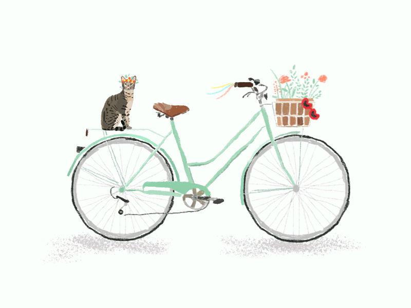 Bike - Gif bike cat flowers gif illustration mint spring