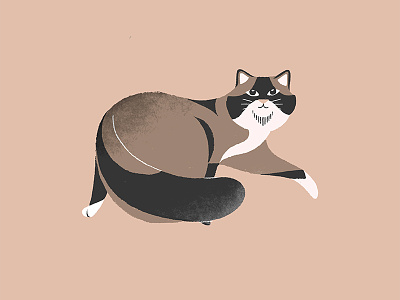 Fat Cat cat fat illustration