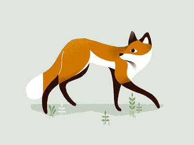 Sneaky fox fox foxy illustration wood