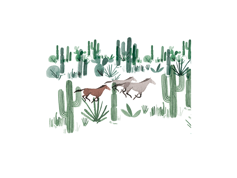 Wild horses cactus gif horse wild west