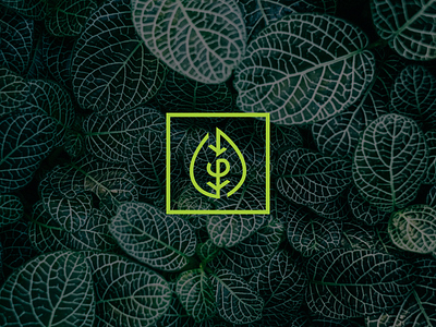 Samaras Pharmacy brand mark branding leaf leaves logo logodesign nature pharmacy logo vector