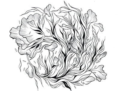 Floral abstract art design drawing dribbble invitation dribbble invite floral floral illustration flower flowers illustration invitation invite giveaway invites giveaway line line art lineart nature plant