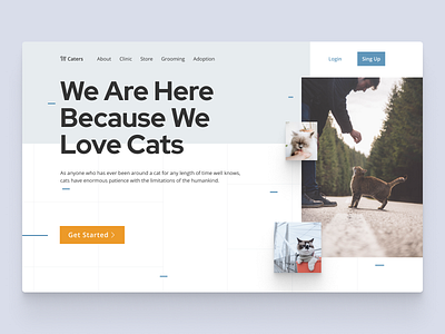 Pet Service Only for Cats cats dailyui design pet ui ux web design