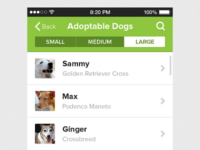 iPhone app idea app application dog flat green interface ios iphone mobile pets ui user interface