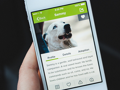 Pet App UI app application dog flat green interface ios iphone mobile pets ui user interface