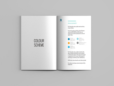 FirmLoyalty Brand Guidelines (Oct '14) | GPHX Designs brand design brand guidelines brand identity branding colour scheme concepts corporate identity design systems logo patterns