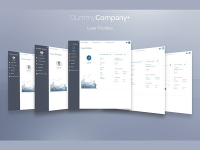 User Profile & Account | DummyCompany+ account admin admin panel details product design profile saas design settings user account user details