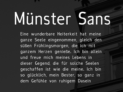 Münster Sans aperture font humanist low contrast münster open sans text type
