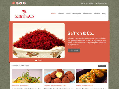 Saffran Company Web Design #3