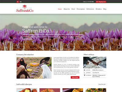 Saffran&Co WordPress Theme Design