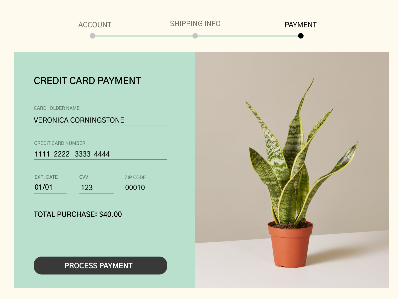 Credit Card Payment Form by Jessie Bonilla on Dribbble