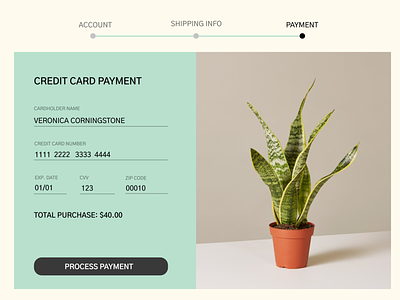 Credit Card Payment Form