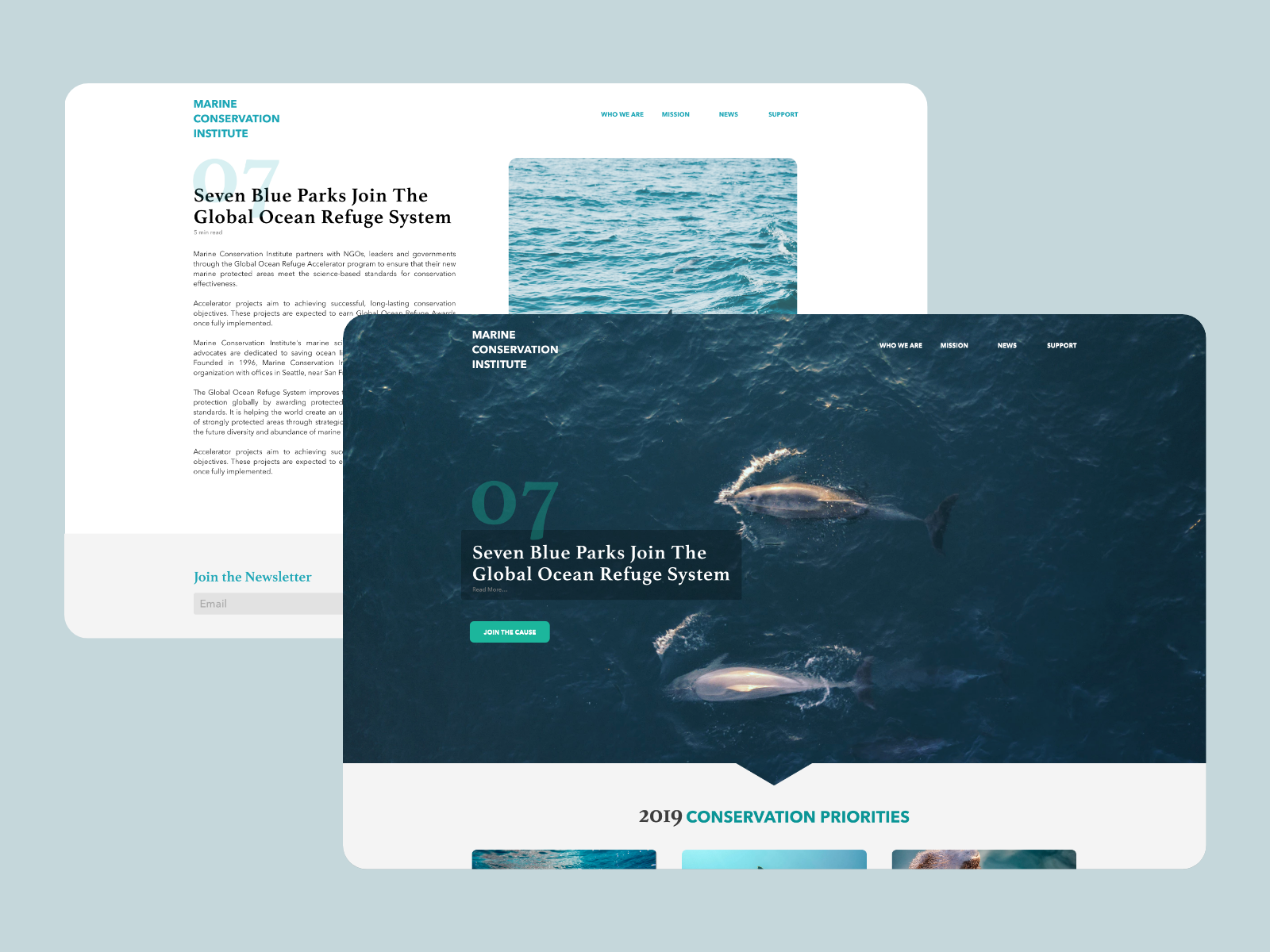 Marine Conservation by Sean Foster on Dribbble