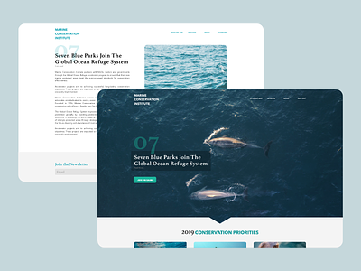 Marine Conservation adobexd design marine ocean ui design web web design webdesign