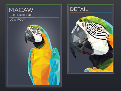 Macaw - Gold and Blue