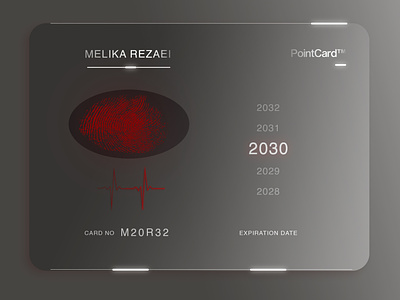 Payment Card of the Future/Point Card
