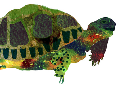 Tortoise animal illustration vector illustration