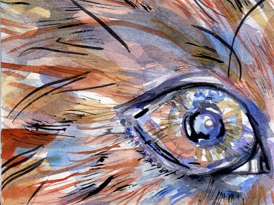 Fox eye animal eye fox fox illustration illustration watercolour watercolour painting