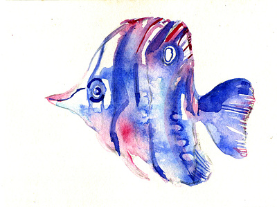 tropical fish animal fish illustration painting tropical watercolour